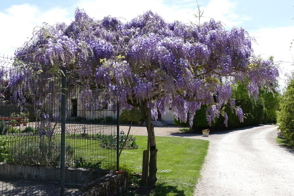 Le Clos Des Perraudieres Cour-Cheverny Luaran gambar