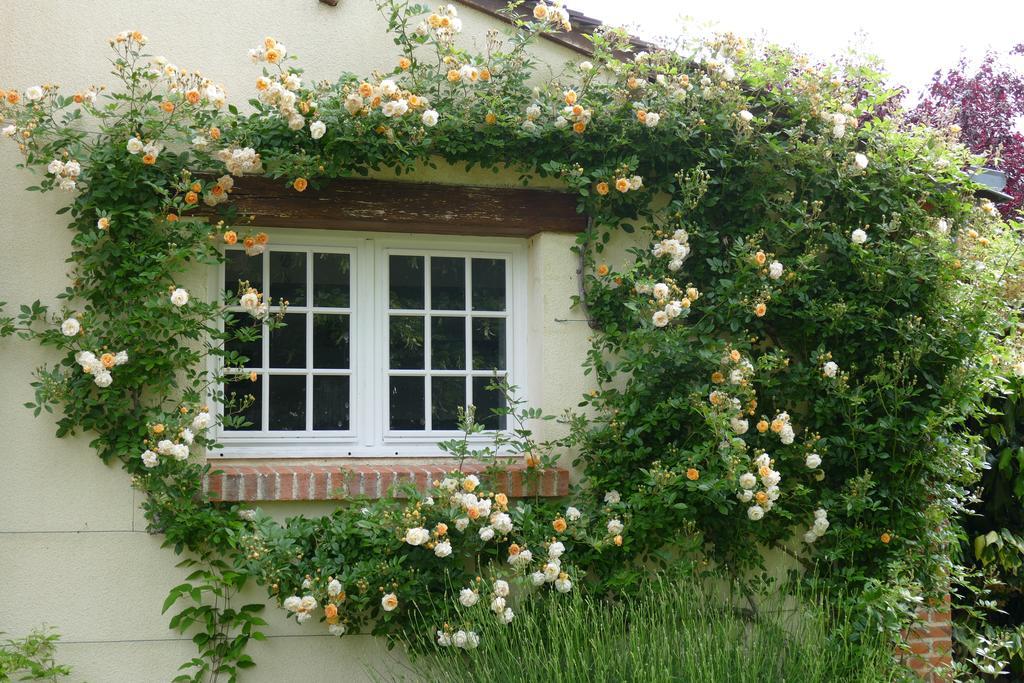 Le Clos Des Perraudieres Cour-Cheverny Luaran gambar